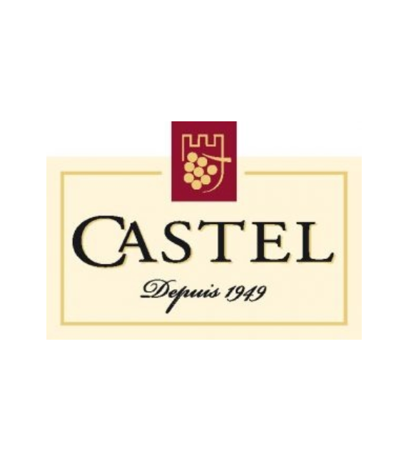 Copy of CASTEL