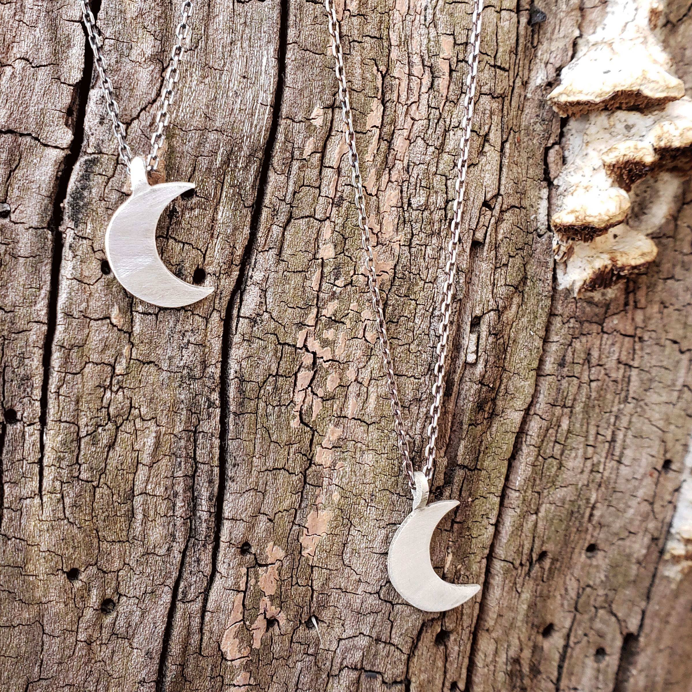 moon-fat-1-c.png