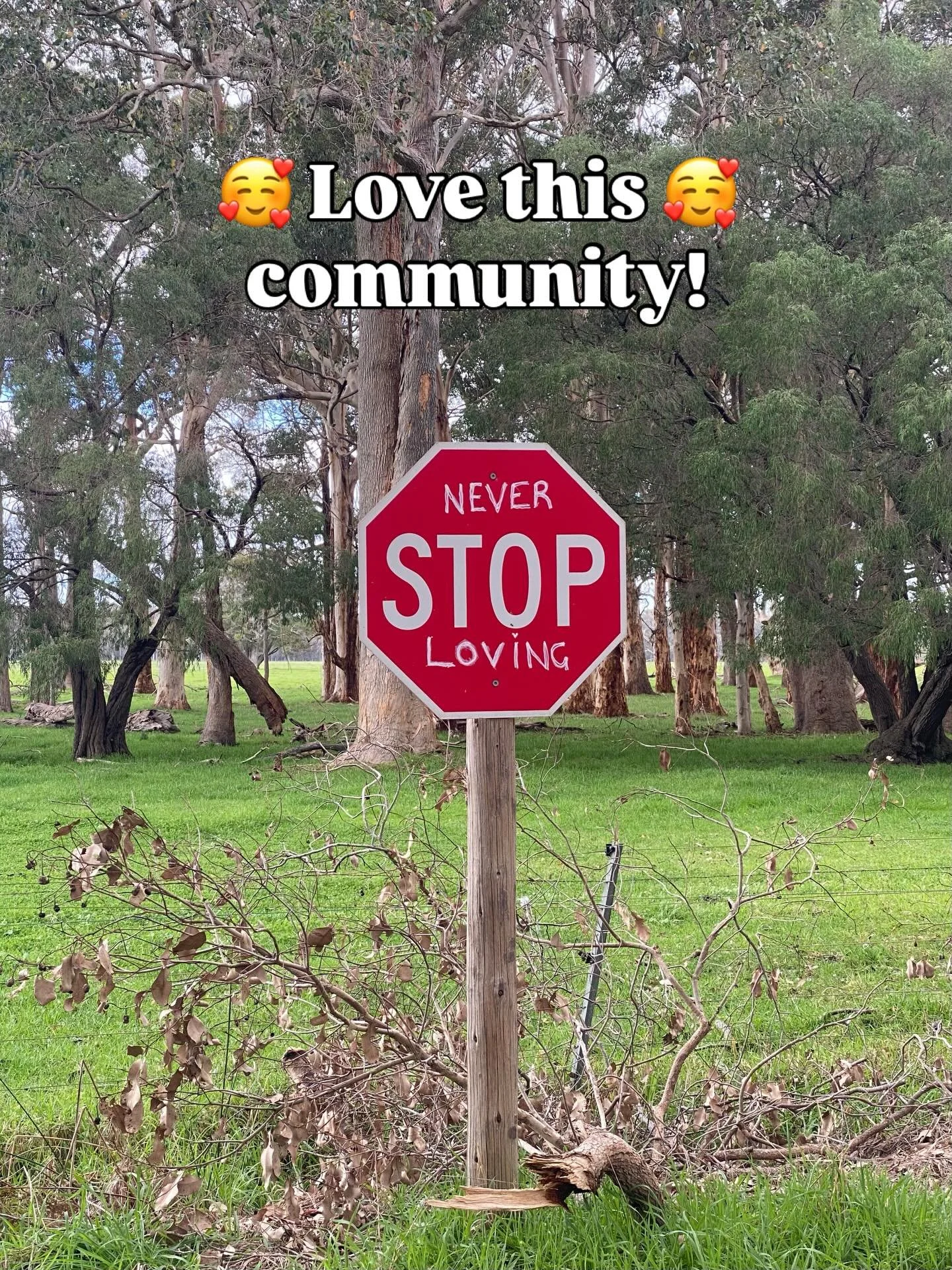 Always meeting new people and discovering new corners of this magical land.  This sign put a big smile on my face! 🙏🦅😍