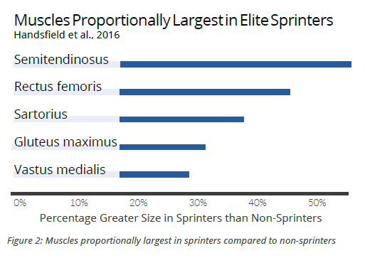 figure 2.png