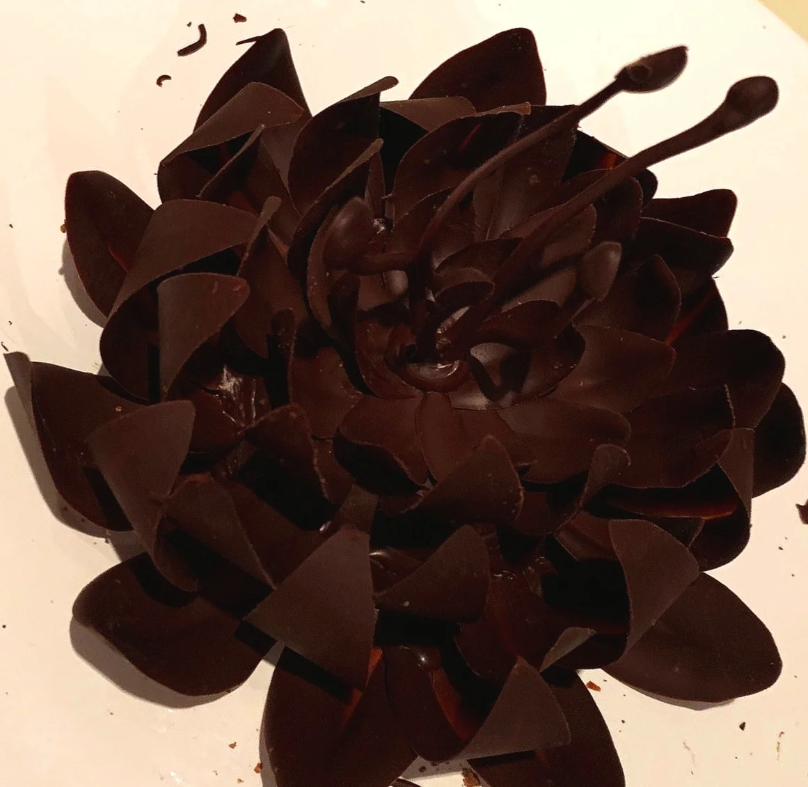 Angie Arkin Chocolate Sculpture 2019.jpeg