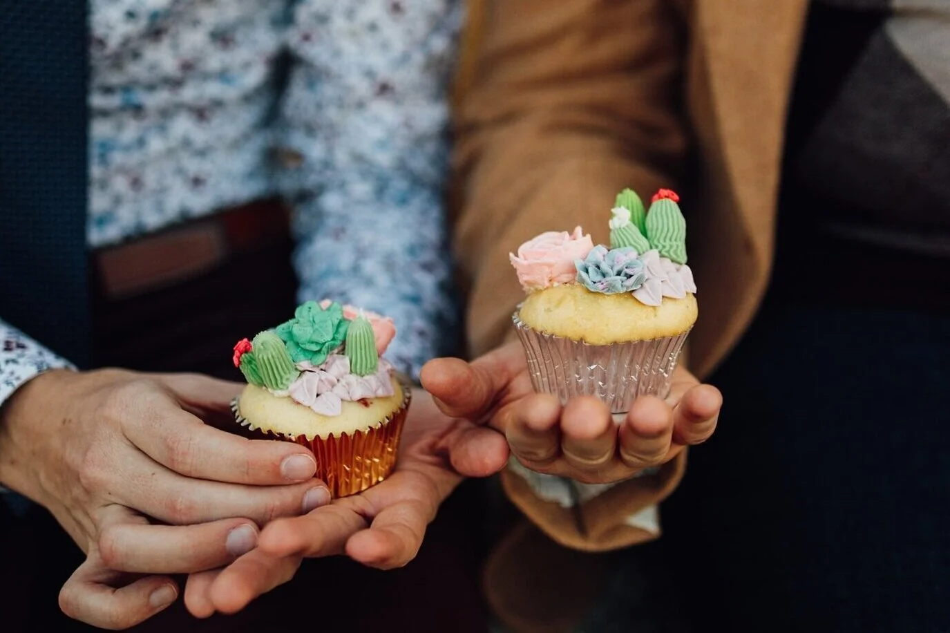 Succulent cupcakes.jpg