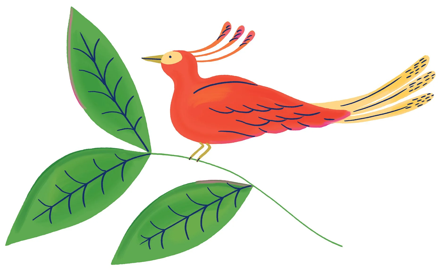 final_bird_preview.jpg
