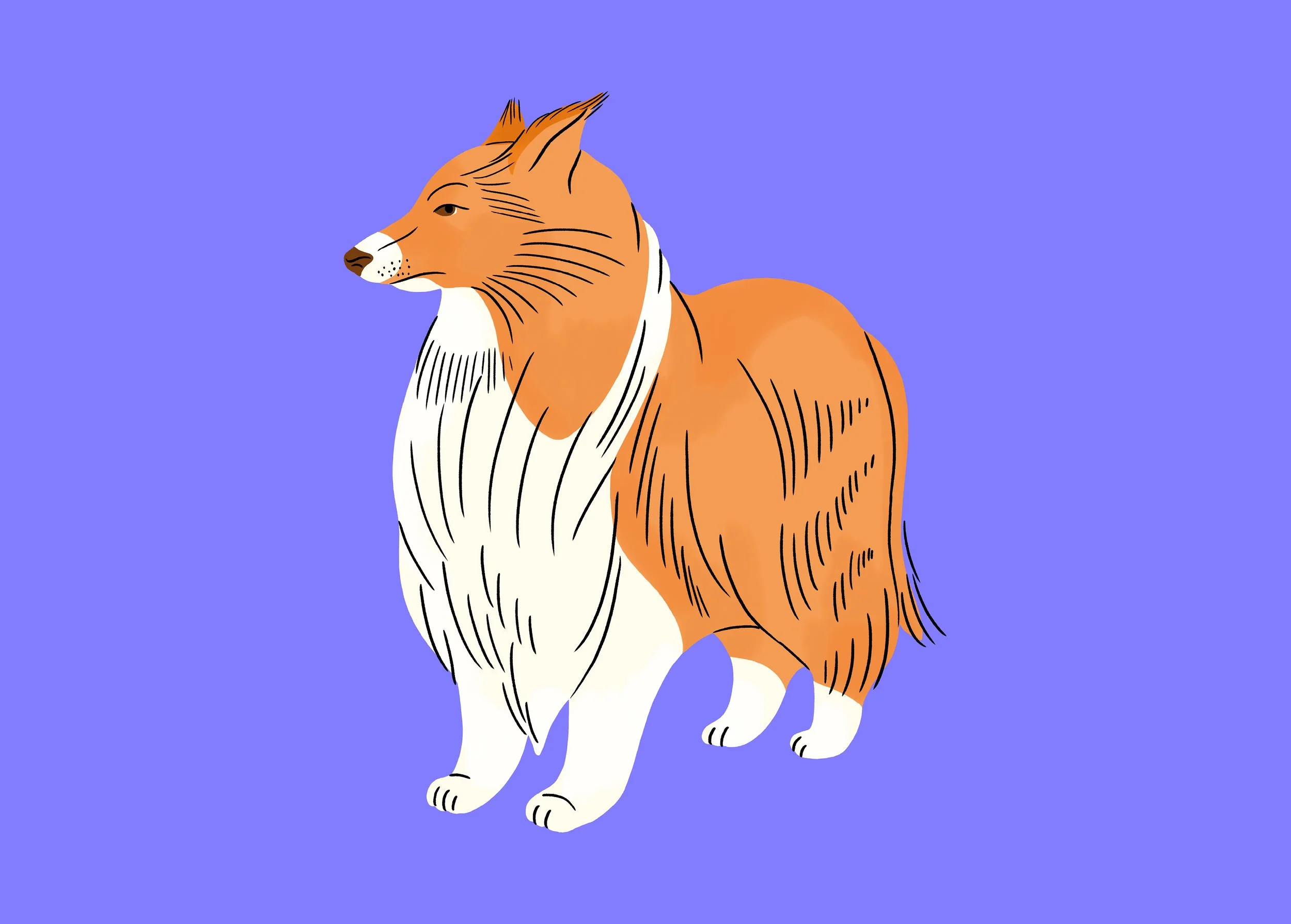 dogcalendar_full2.jpg