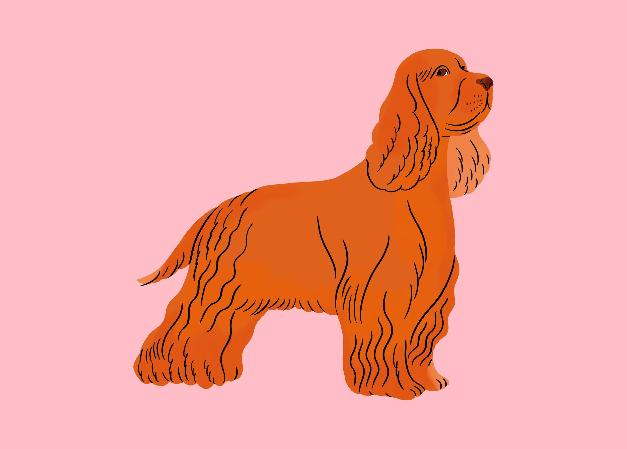 dogcalendar_full6.jpg