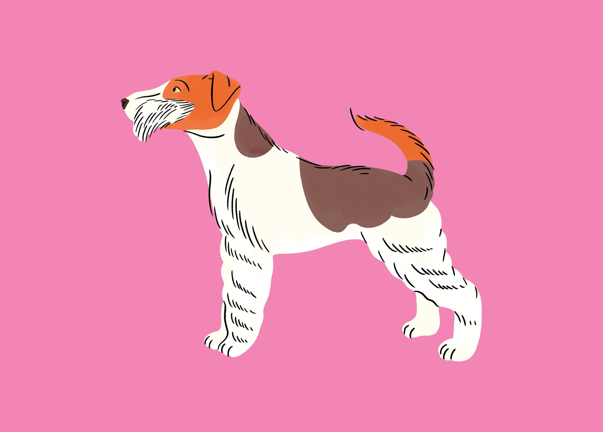 dogcalendar_full8.jpg