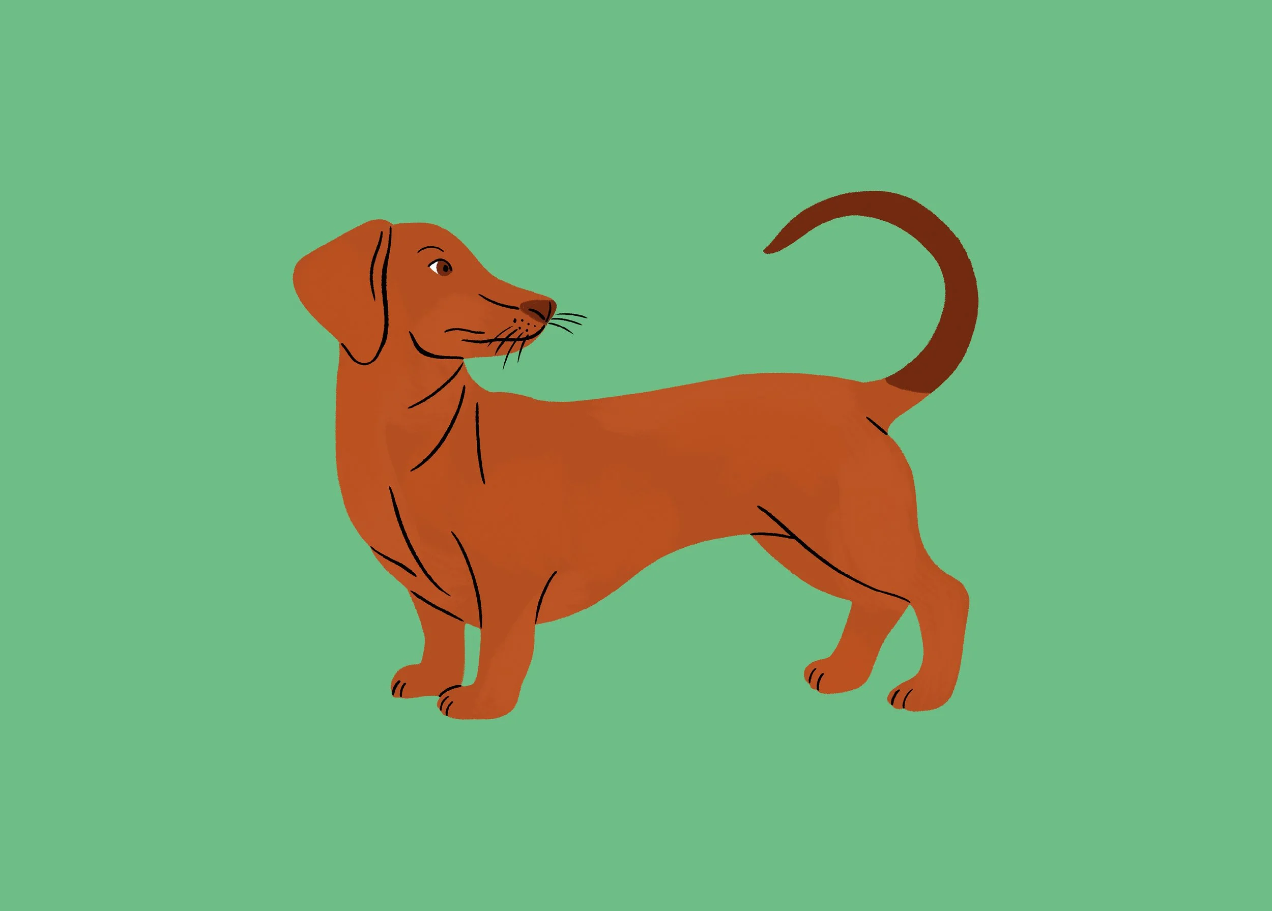 dogcalendar_full12.jpg