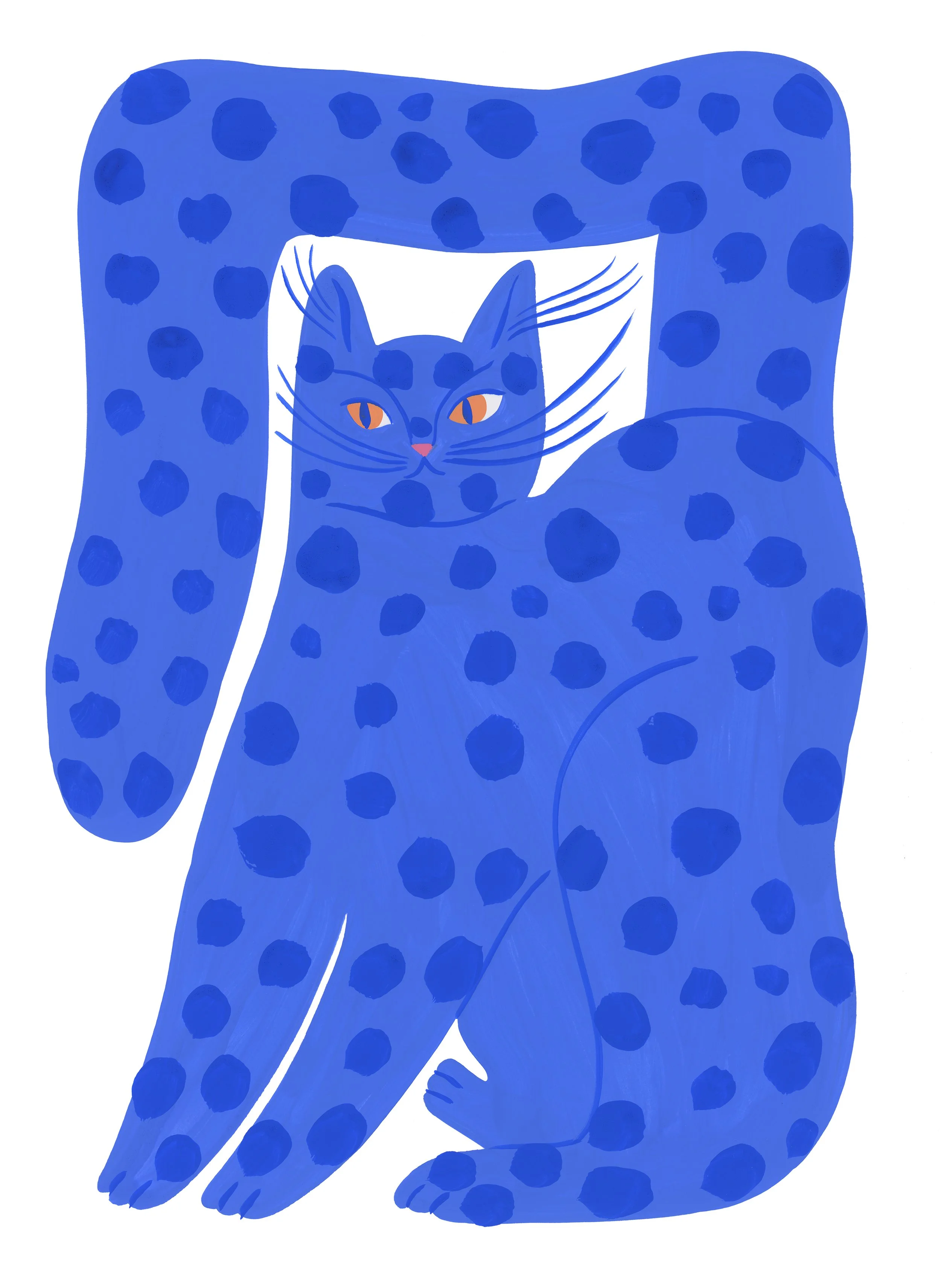 2025_chat-bleu-taches_fond-blanc.jpg