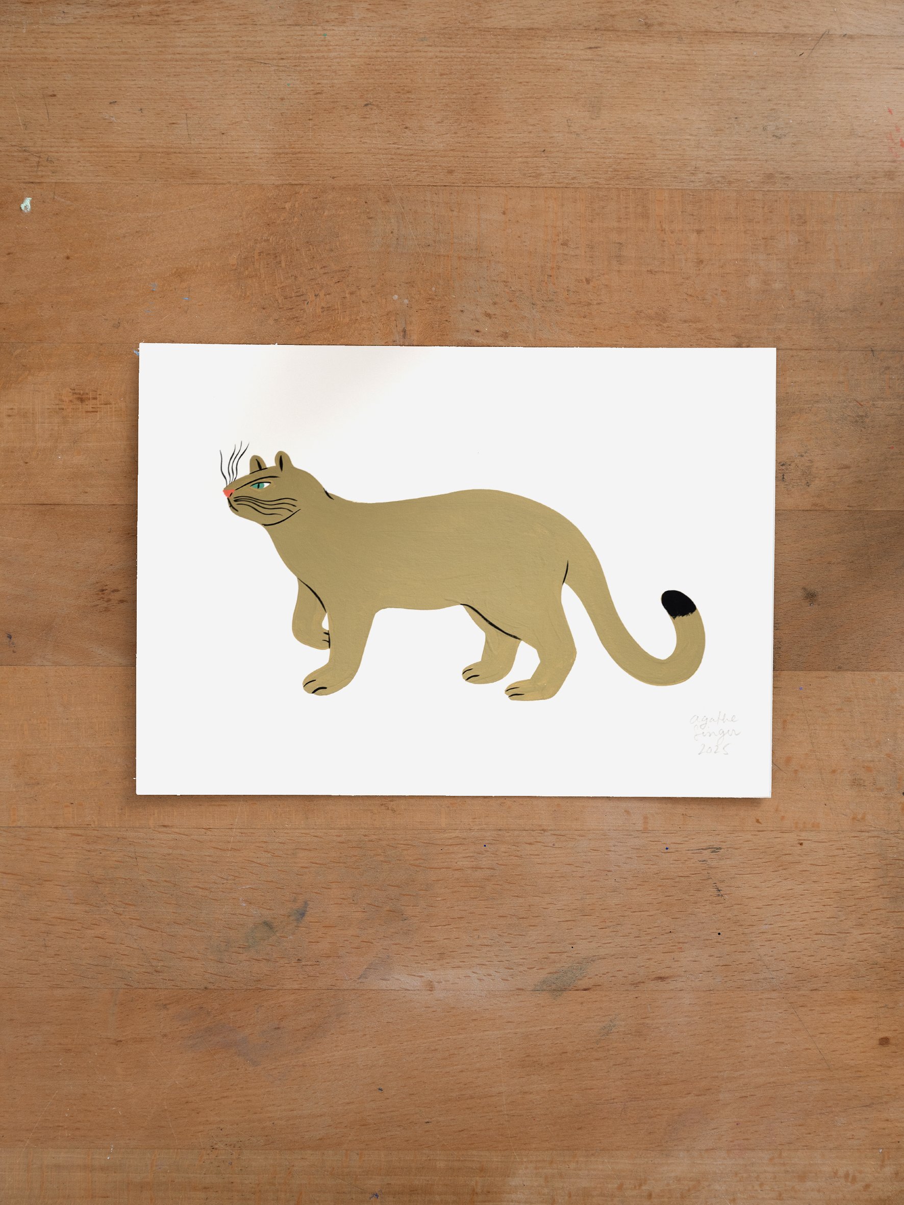 petit_puma.jpg
