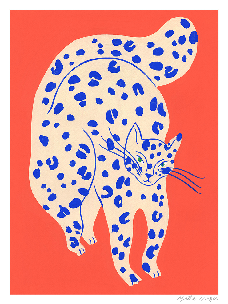 apercu_chatorangetache2.png