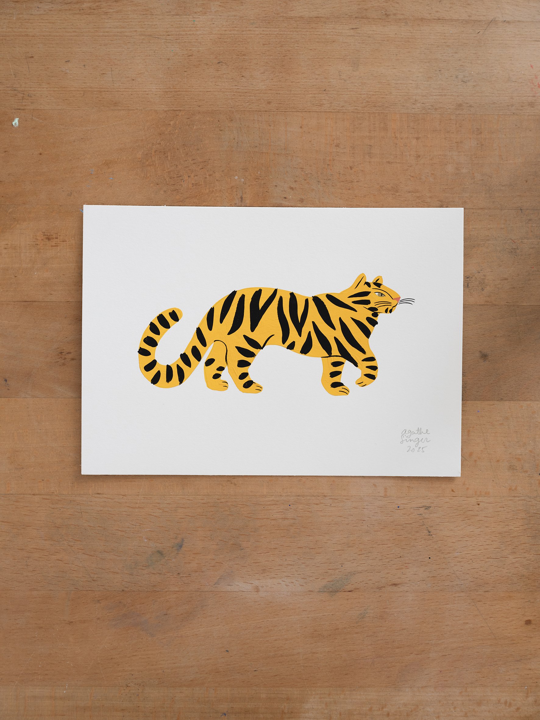 petit_tigre01.jpg
