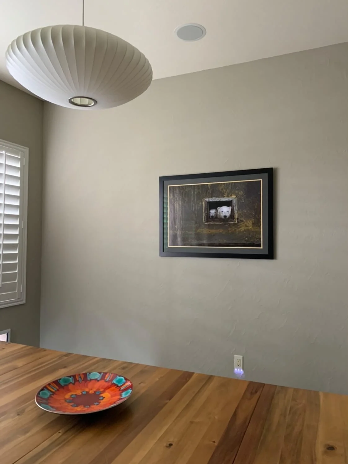 Photo Polar bears in the north