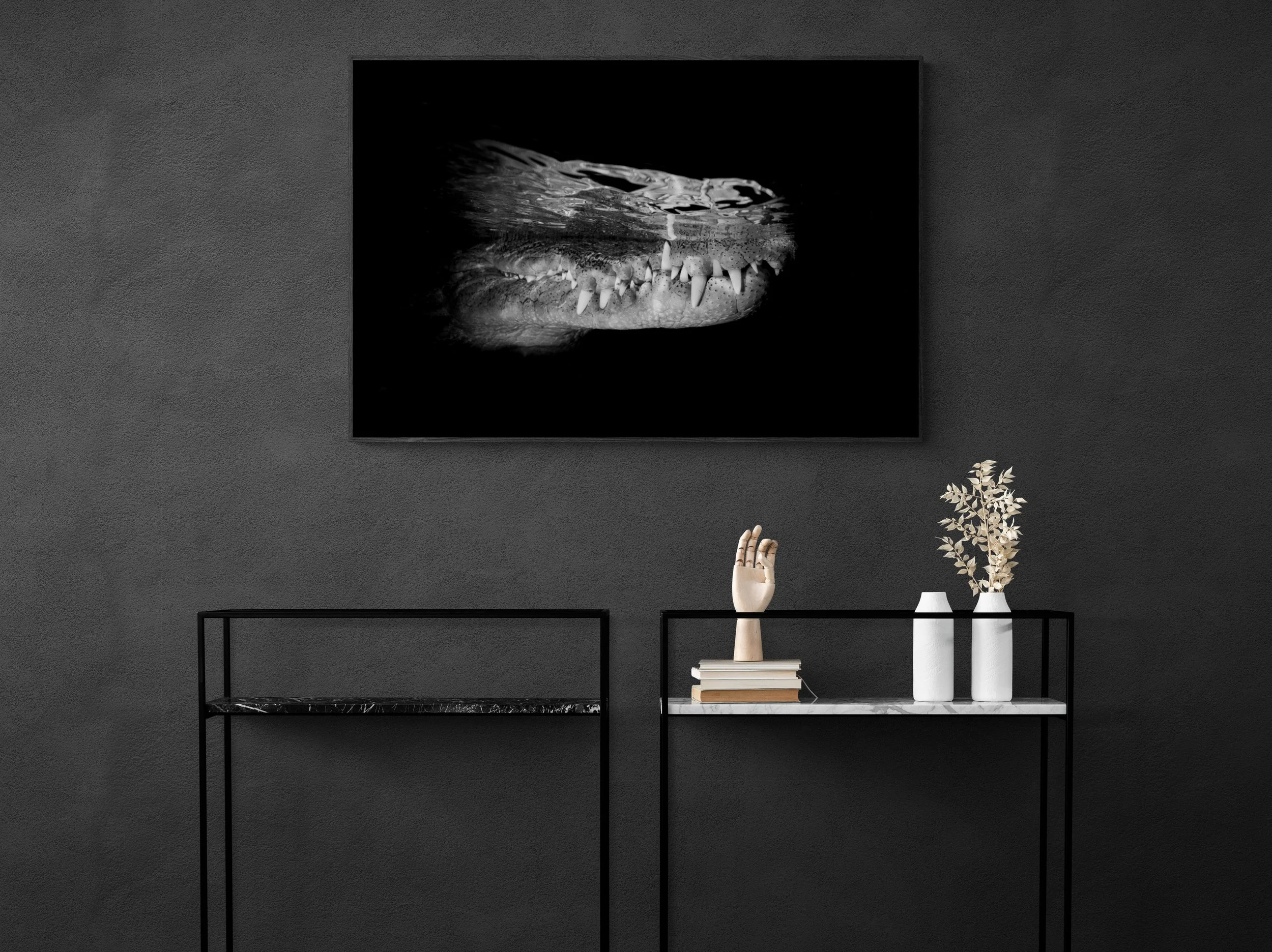 Print american crocodile at night