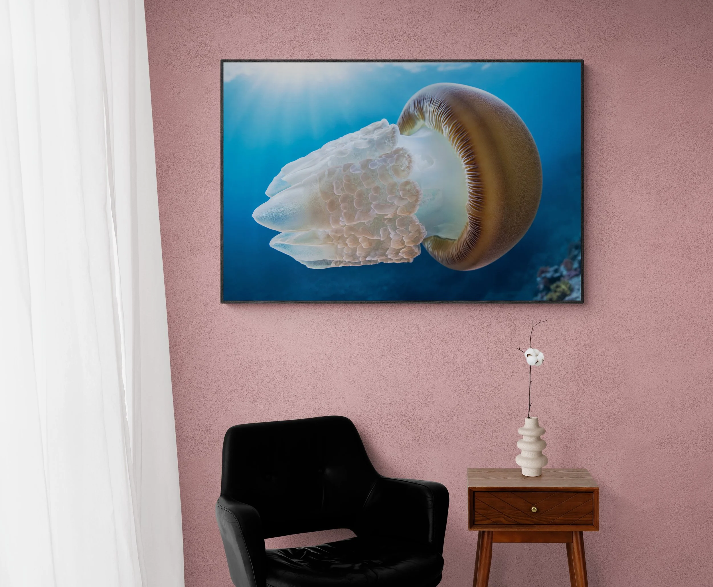 Photo p[rint Jellyfish