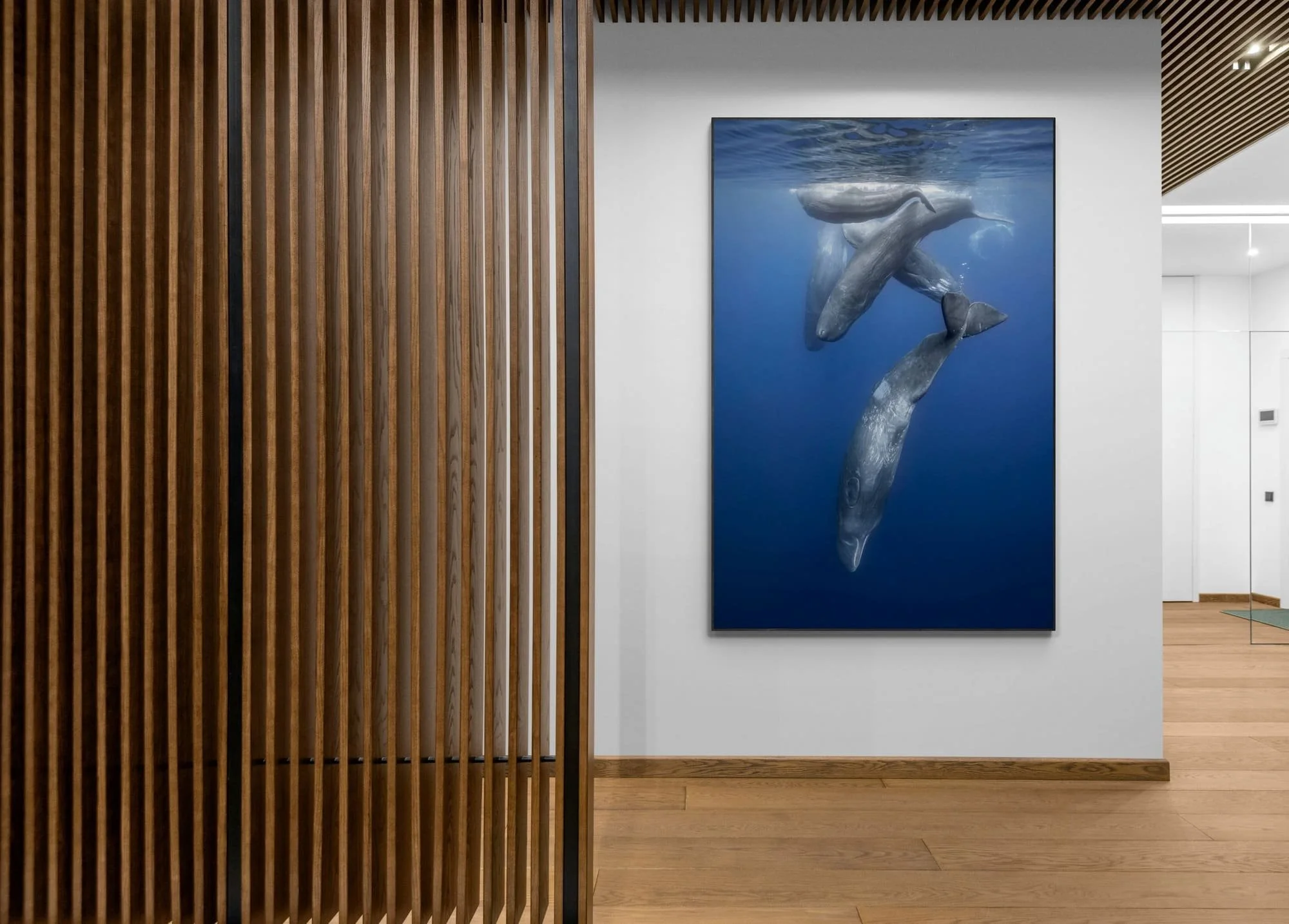 Photo print sperm whales in the Azores