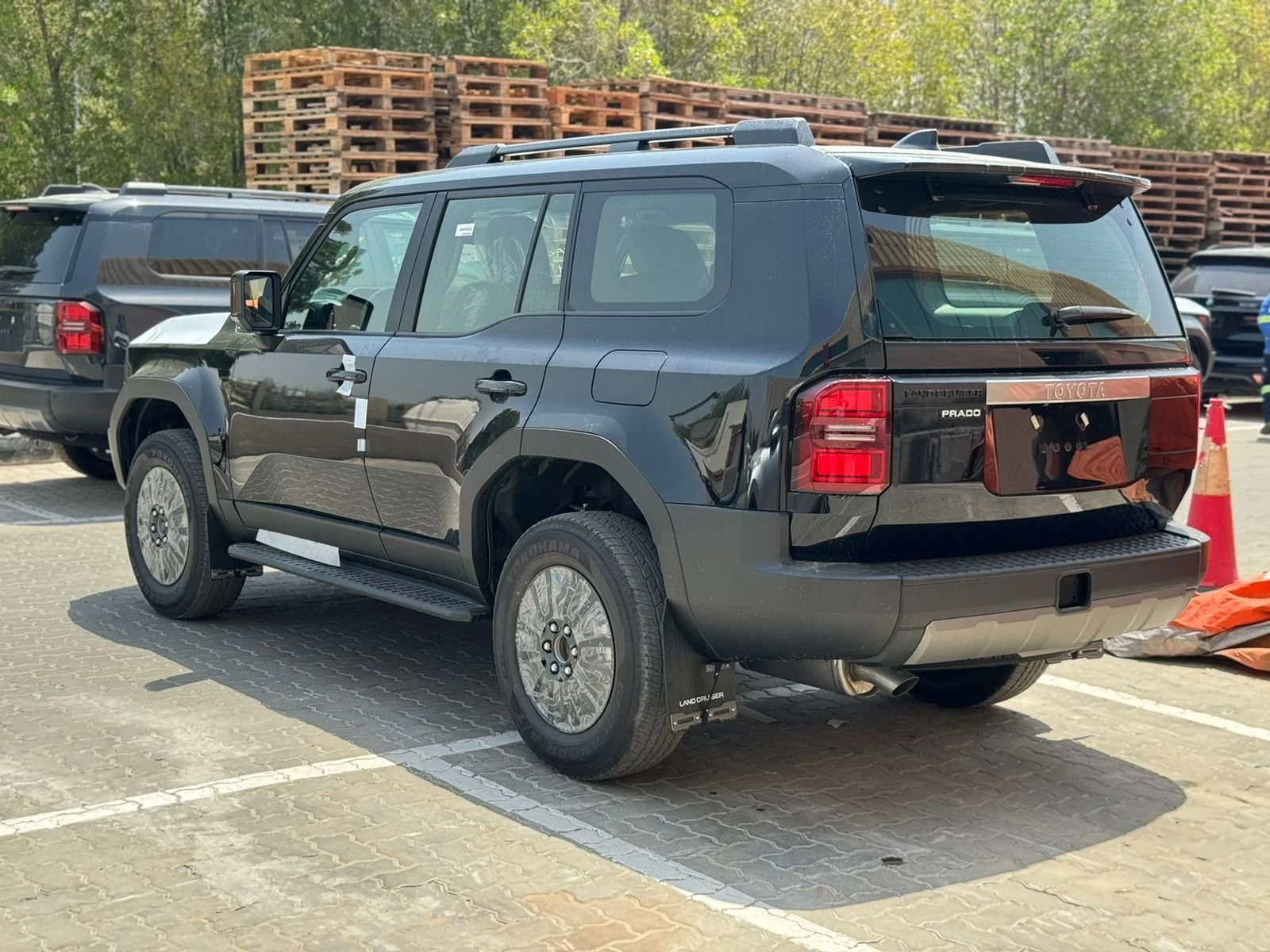 WhatsApp Image 2025-05-15 at 11.16.17.jpeg