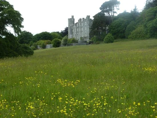 castlewellan-forest-park-2.jpg