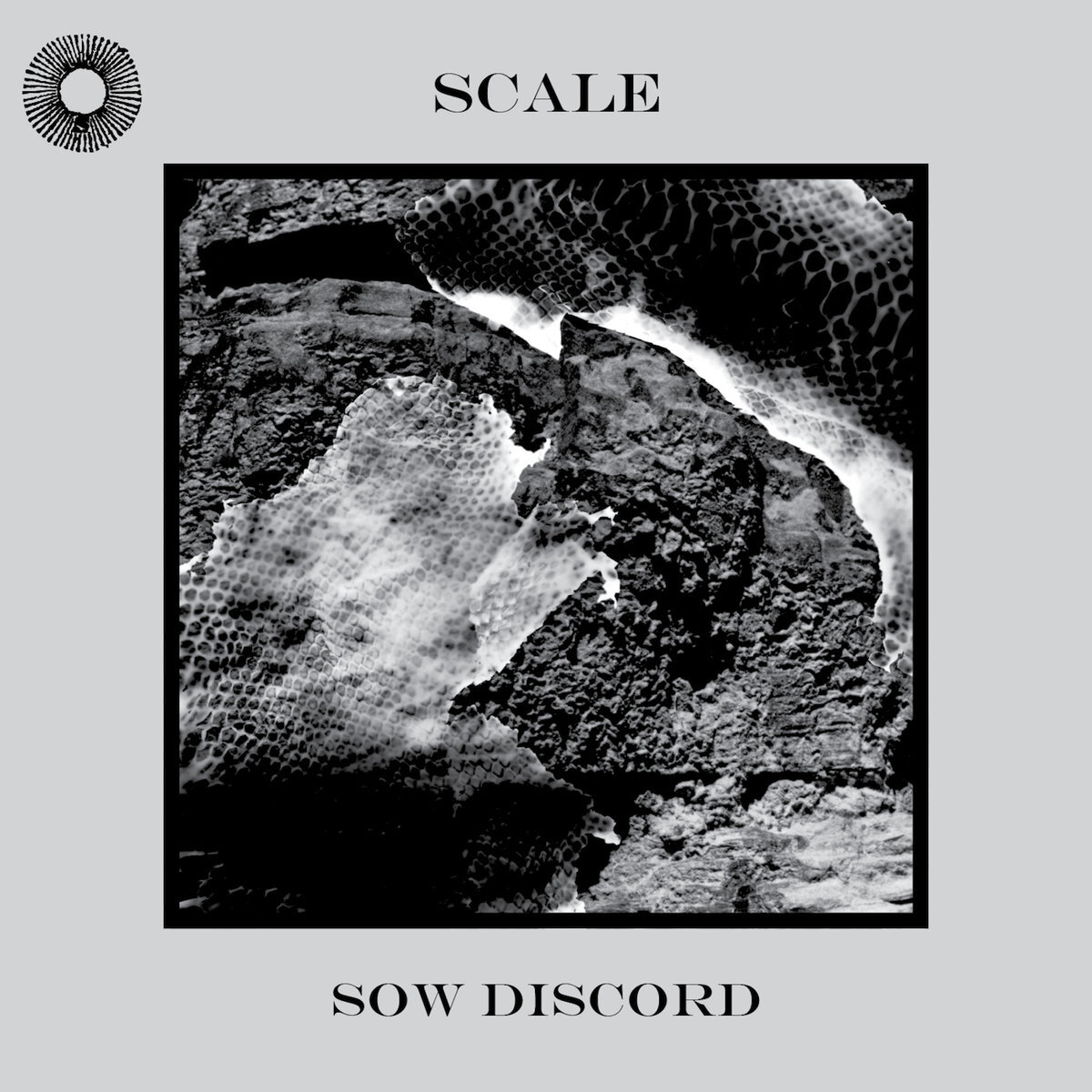 Scale - SOW DISCORD