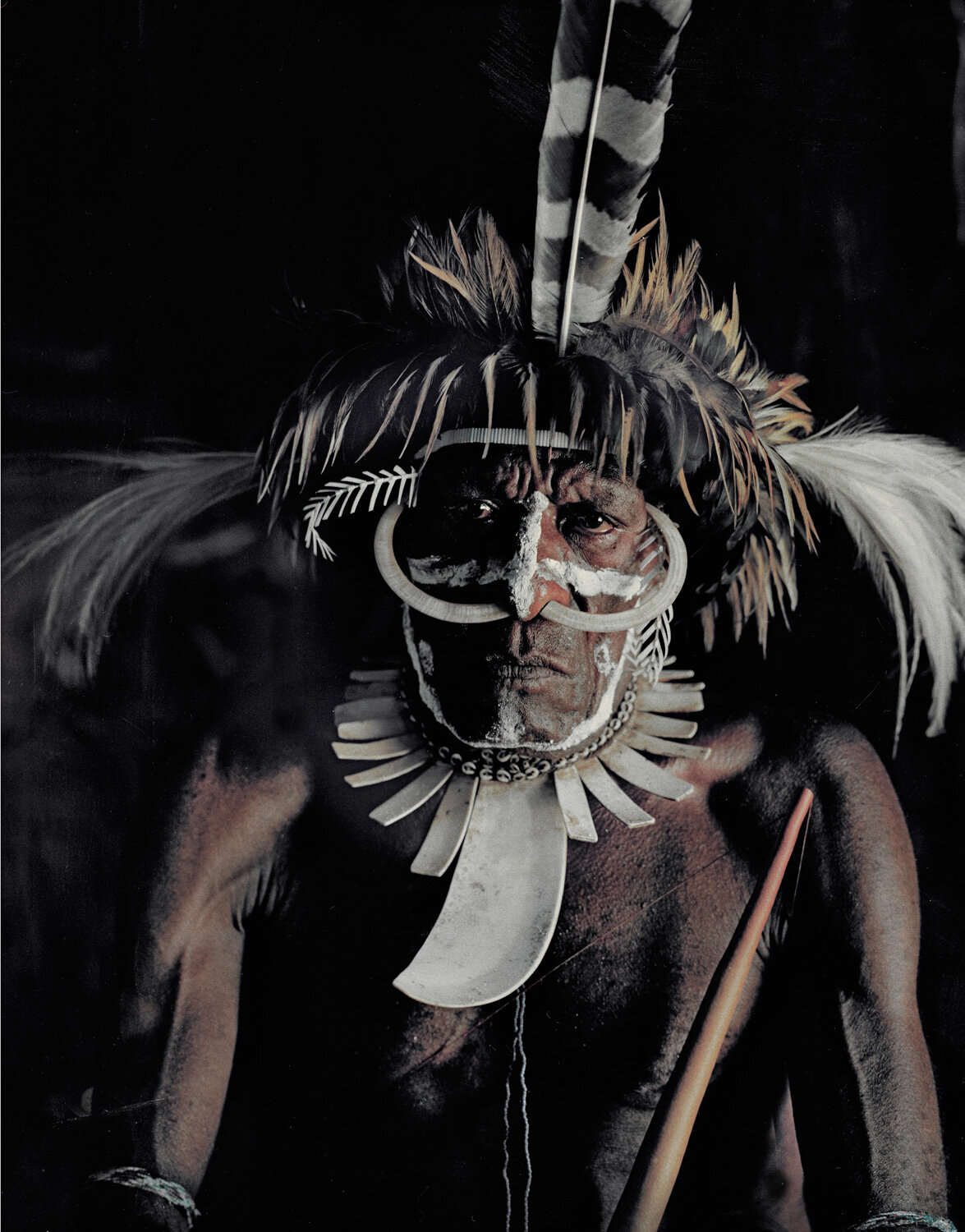 Dani Tribal leader Wamena, Baliem Valley, Papua, Jimmy Nelson, August 2010.jpg