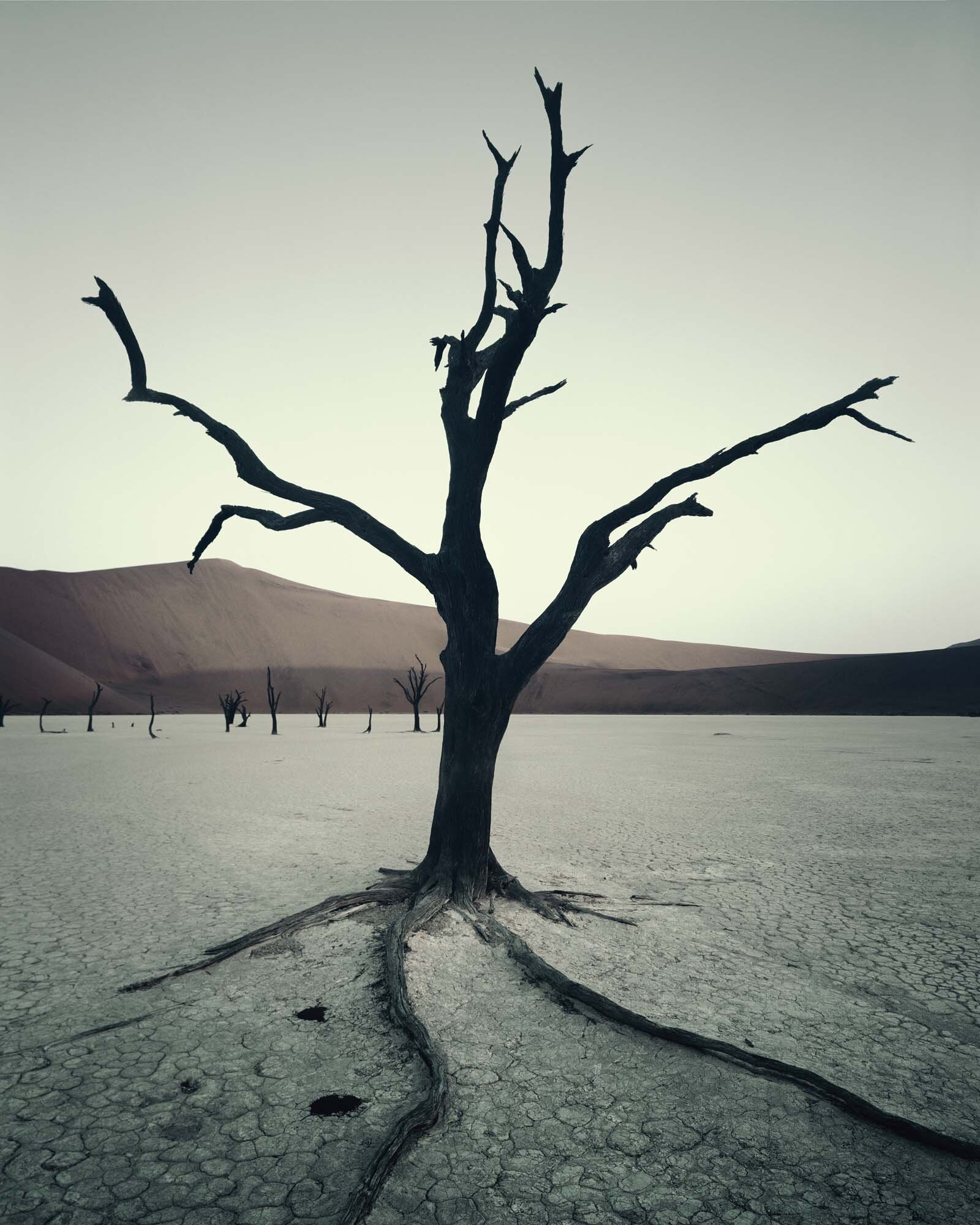 Himba_Dead Vlei_Sossusvlei_Namibia_Jimmy_Nelson_2005_12001B_4x5.jpg