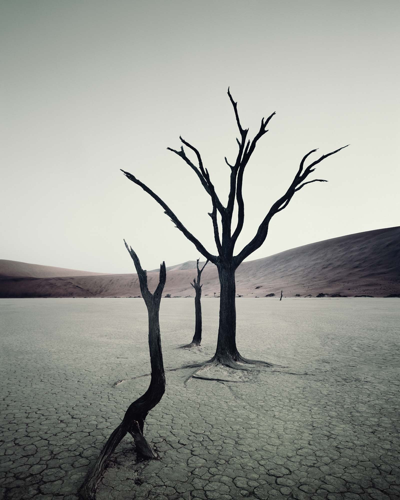 Himba_Dead Vlei_Sossusvlei_Namibia_Jimmy_Nelson_2005_14001A_4x5.jpg