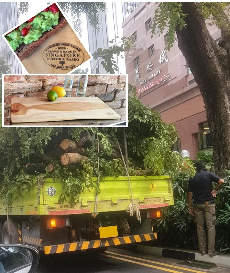 NO WASTE : small branches cut while trimming Angsana trees on the world famous Orchard Road shopping district are ideal as our Cheese Boards