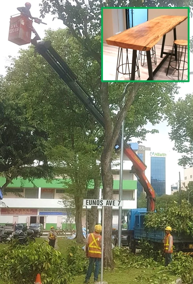 SUSTAINABLE : Large branches cut in the Paya Lebar industrial area made beautiful Benches & Bar Tops