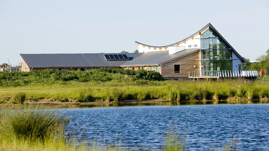 Stanwick-Lakes-1-915px.jpg