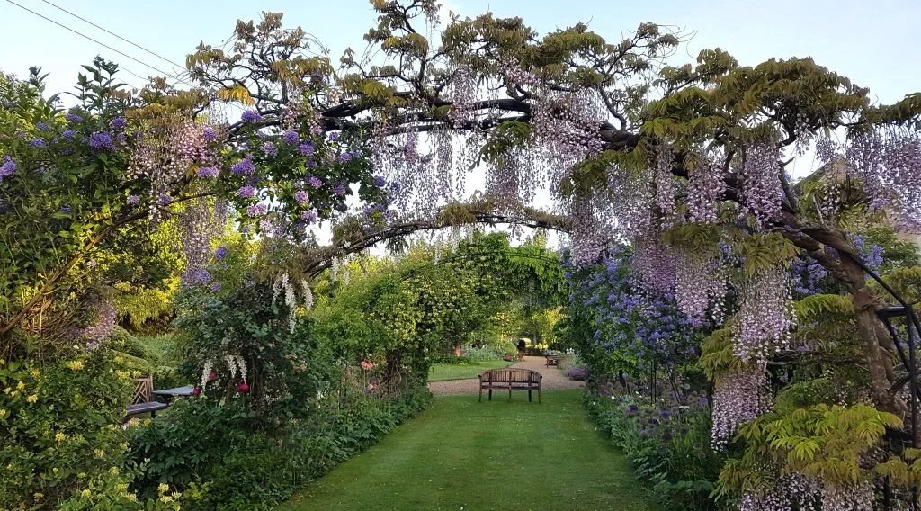 Kathy Browns Gardens.jpg