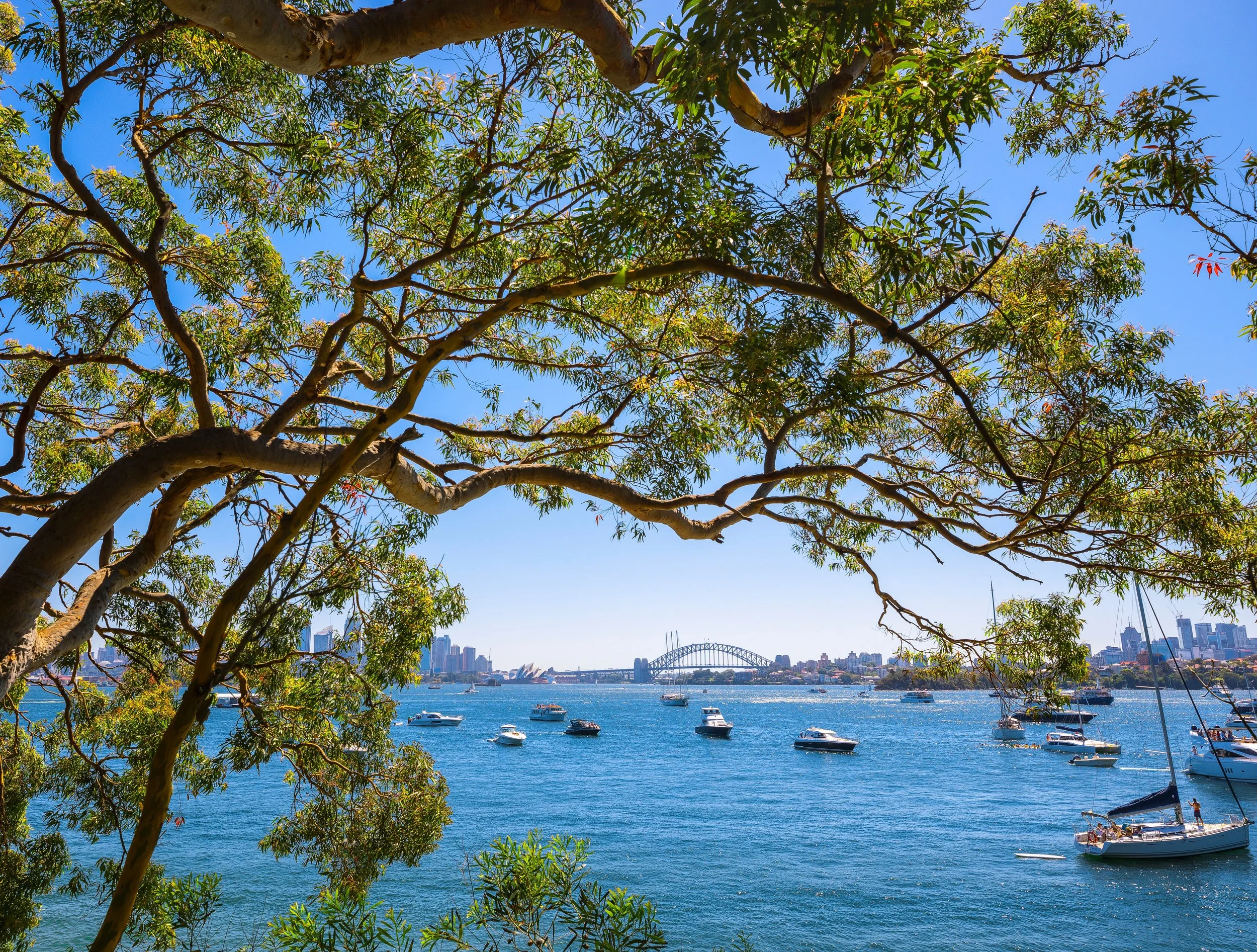  Manly and Northern Beaches Tour 