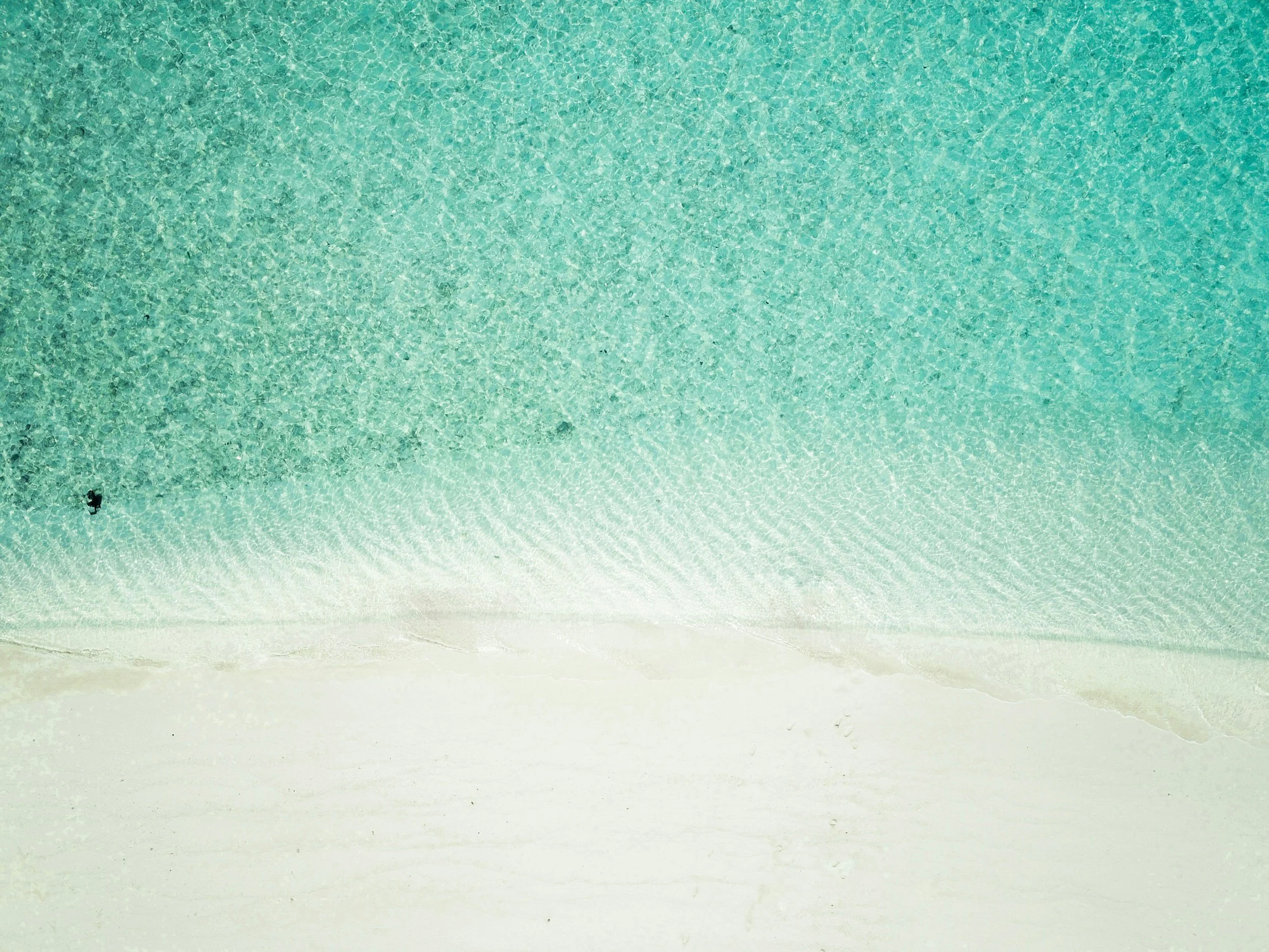 unsplash-image-N3omuz7tNK0.jpg