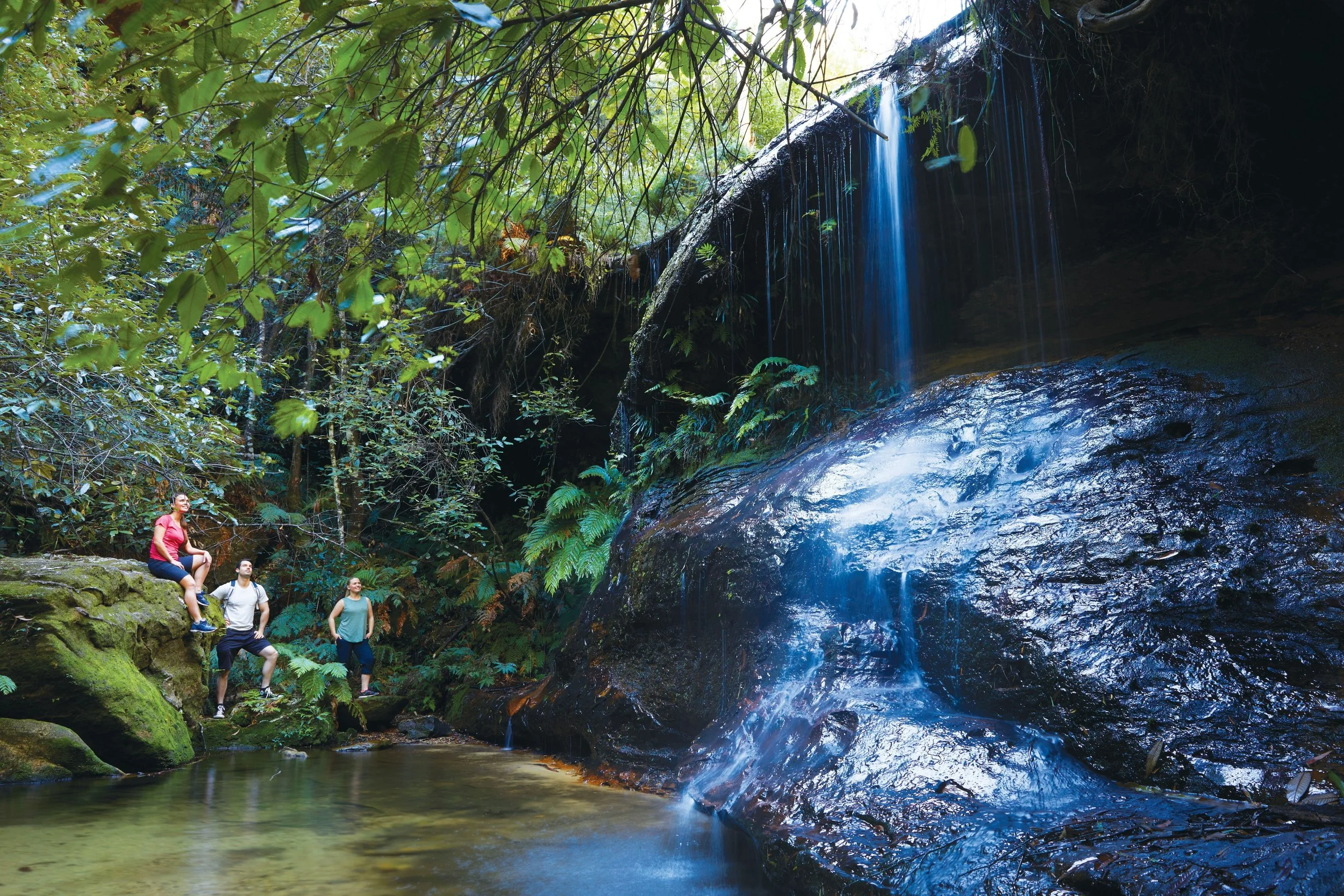 Private Blue Mountains tour