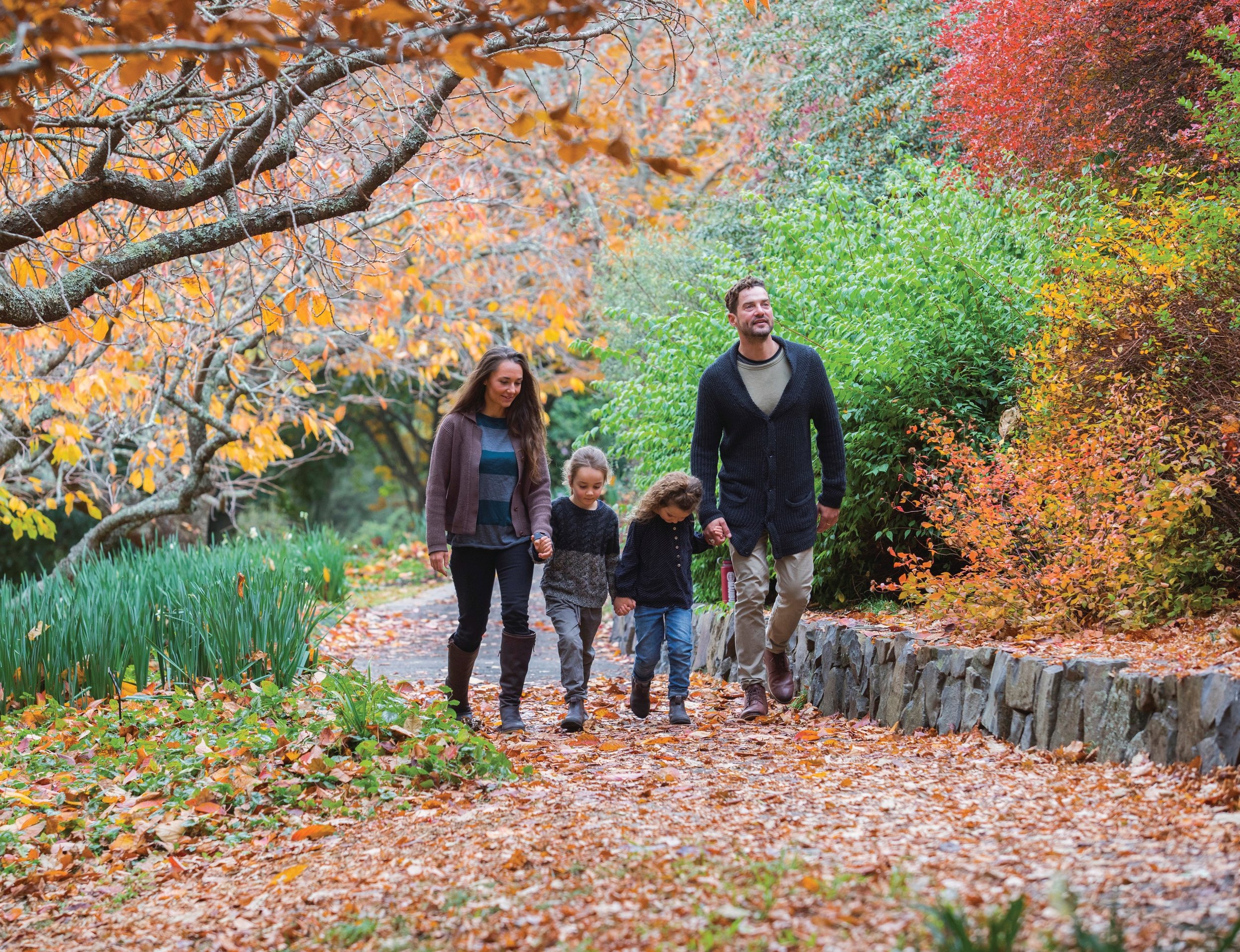Personalised Sydney tours for couples and families