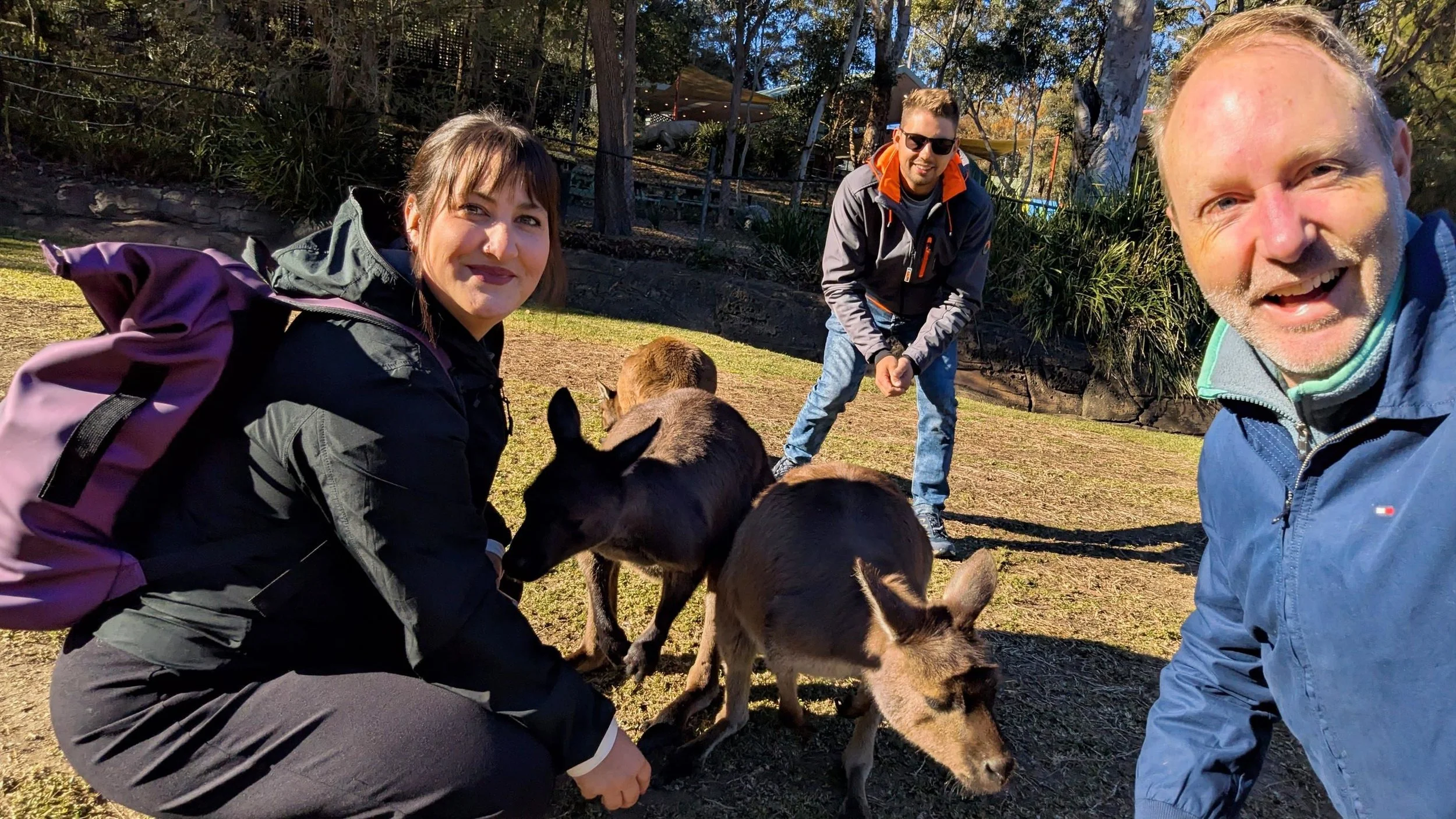 Guests on the tour feeding and patting kangaroos