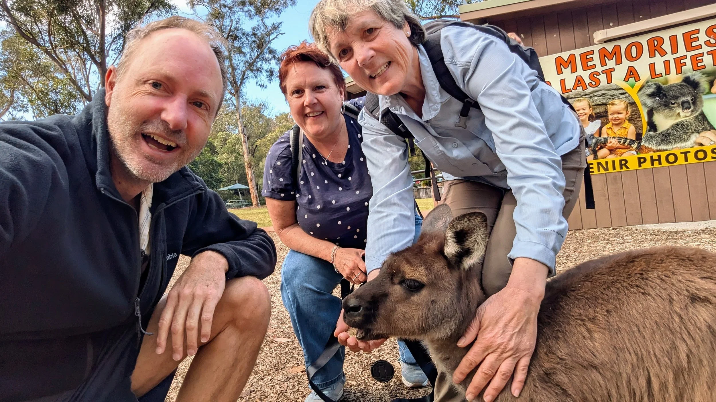 Pat a kangaroo on an Australian wildlife experience