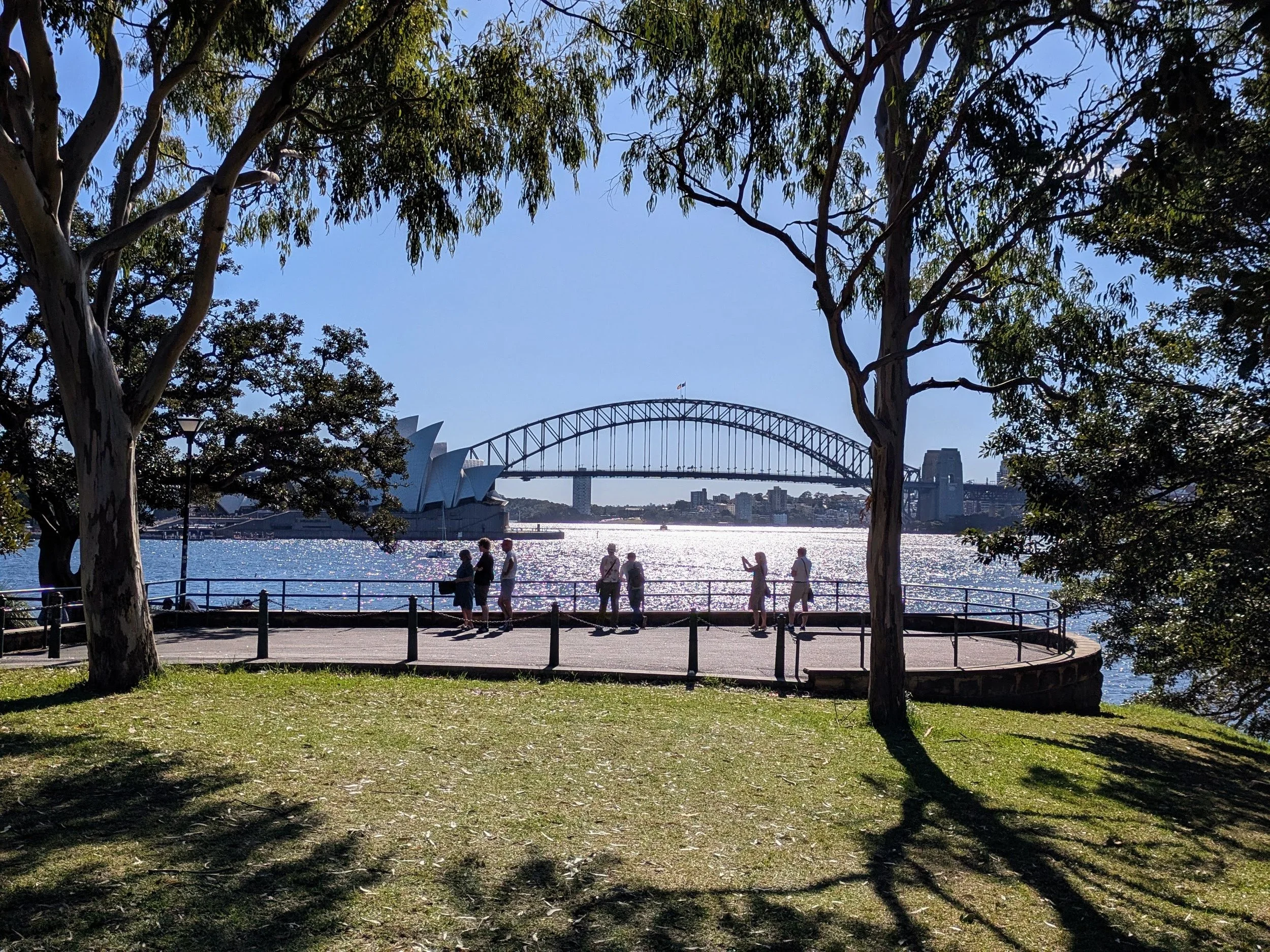 See the Sydney Opera House from Mrs Macquaries Chair