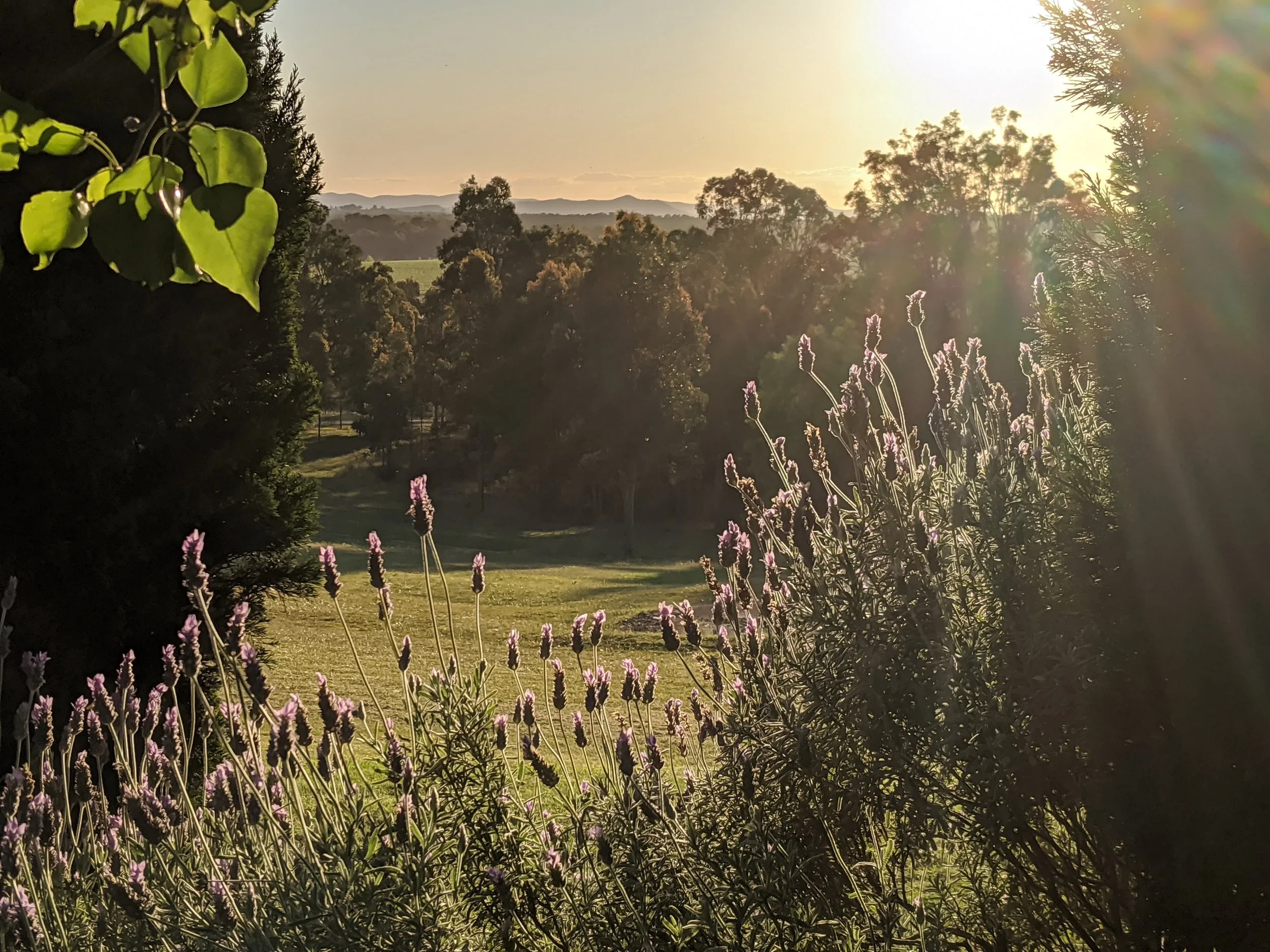 Wine and farm tours near Sydney