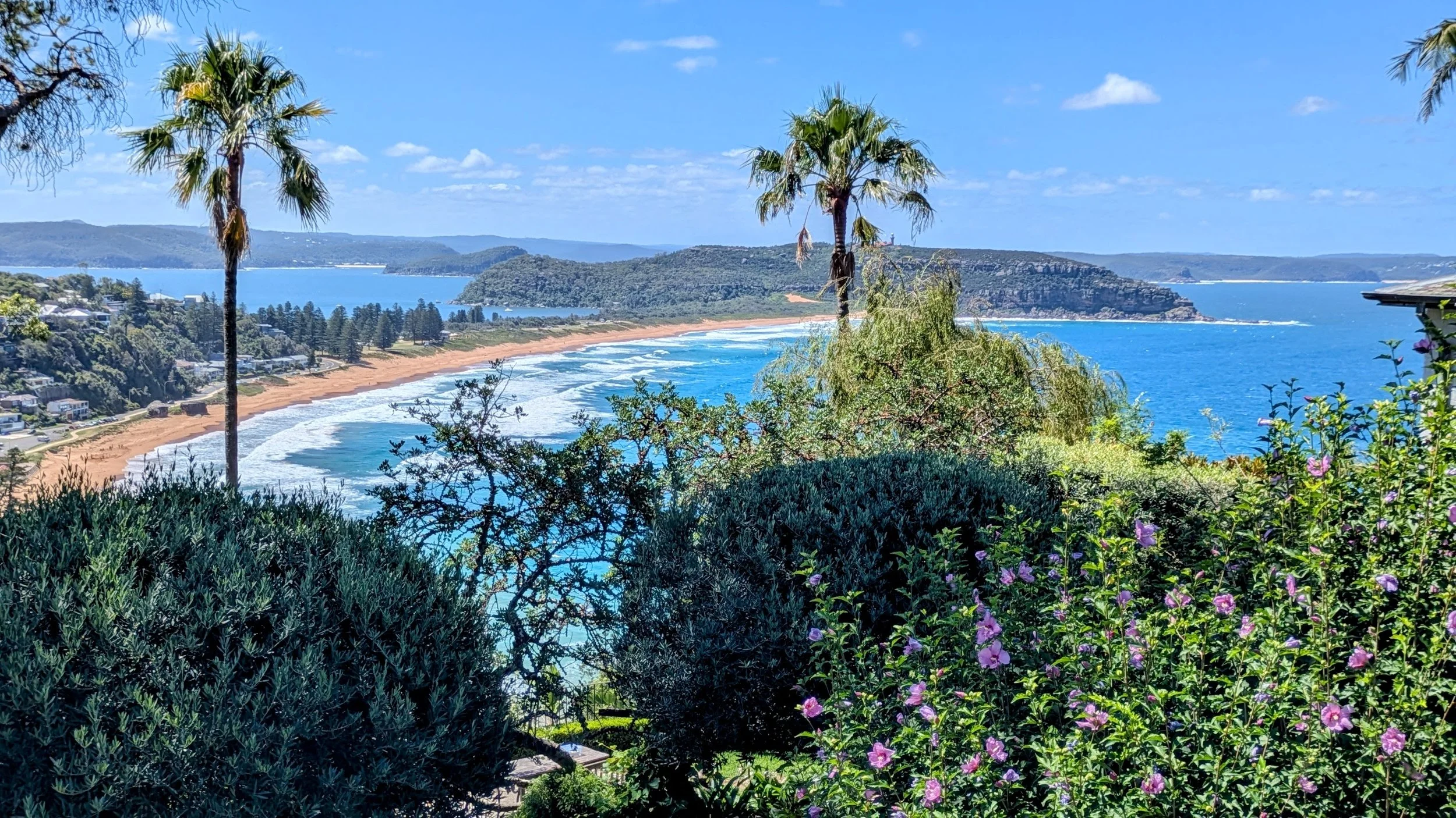 Views of Palm Beach on Personalised Sydney Tours Manly Tour