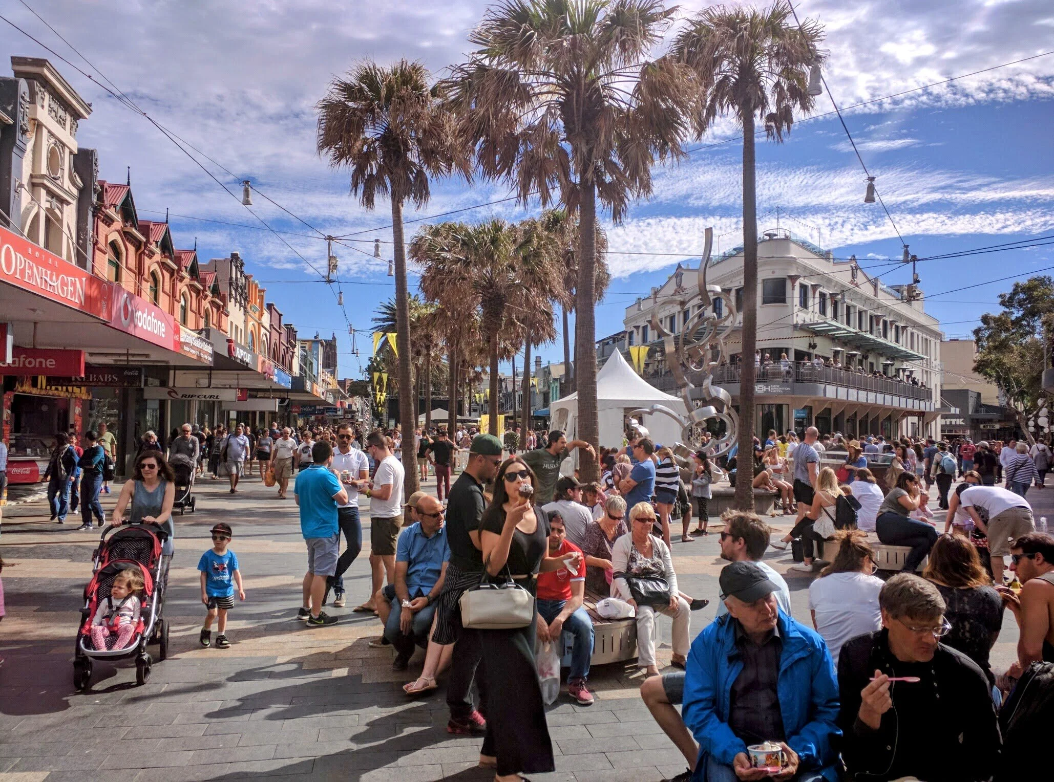 Vibrant Manly Corso