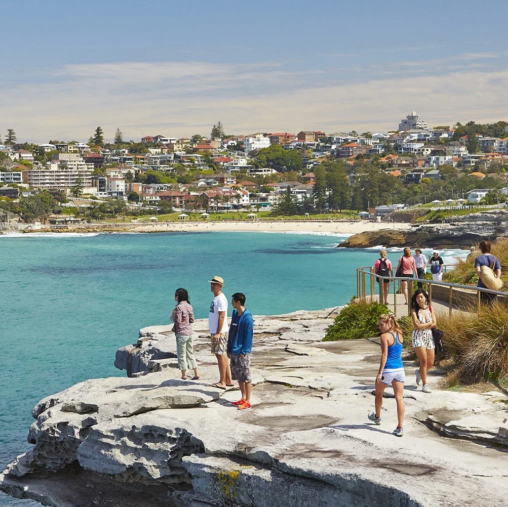 Explore the Bondi to Coogee Coastal Walk