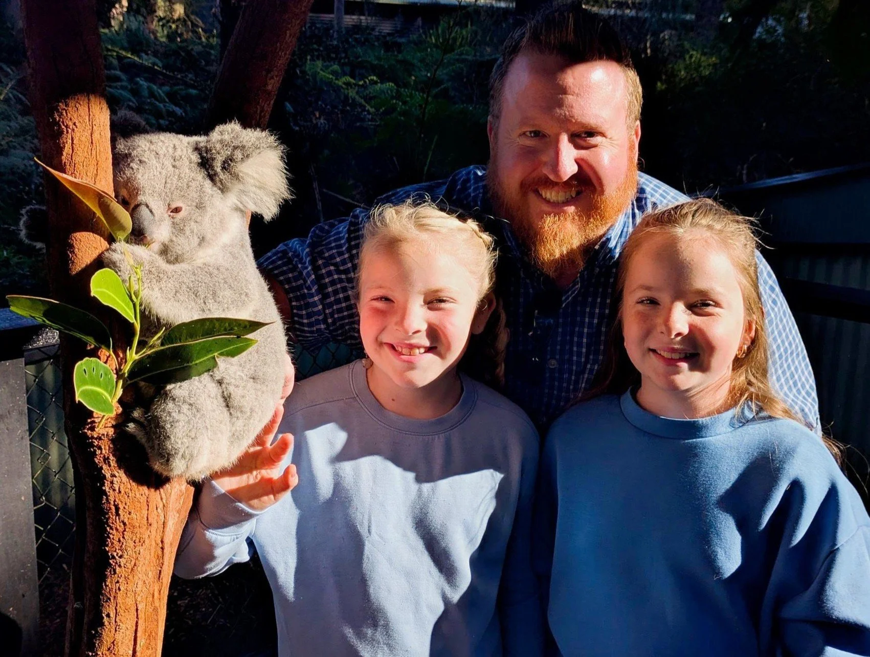 Family patting a koala on a wildlife encounter on the Central Coast of NSW