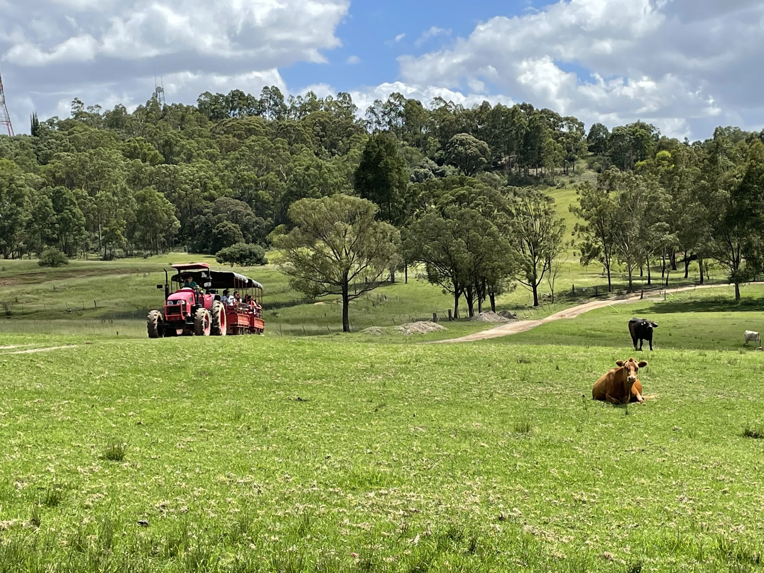Ride on a tractor near Sydney