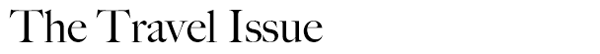 Travel-issue.png