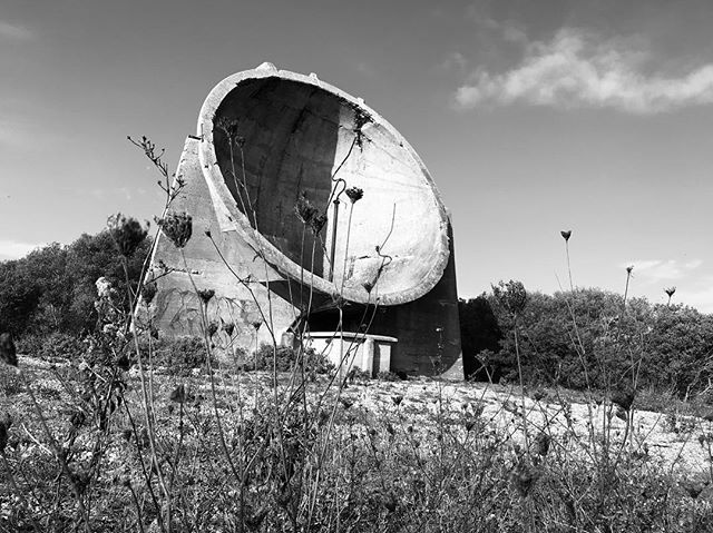 #iphonephotography #cinematography #shortfilm #comingsoon #dengesoundmirrors #dungeness  #filmdirector #weirdflowers