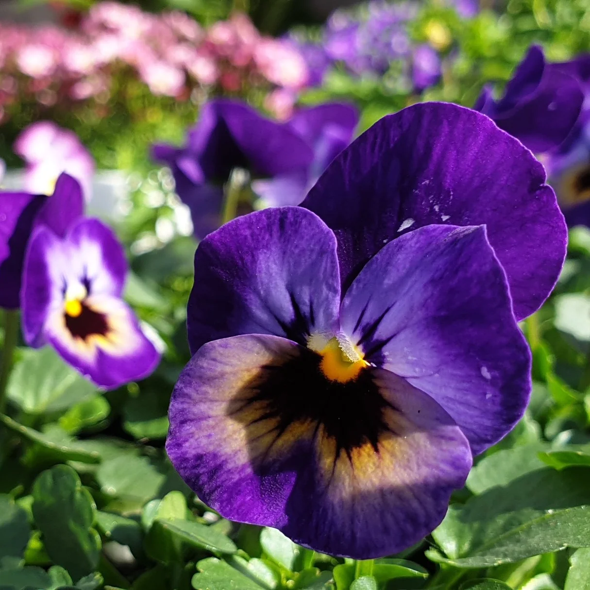 20190317_134541.jpg