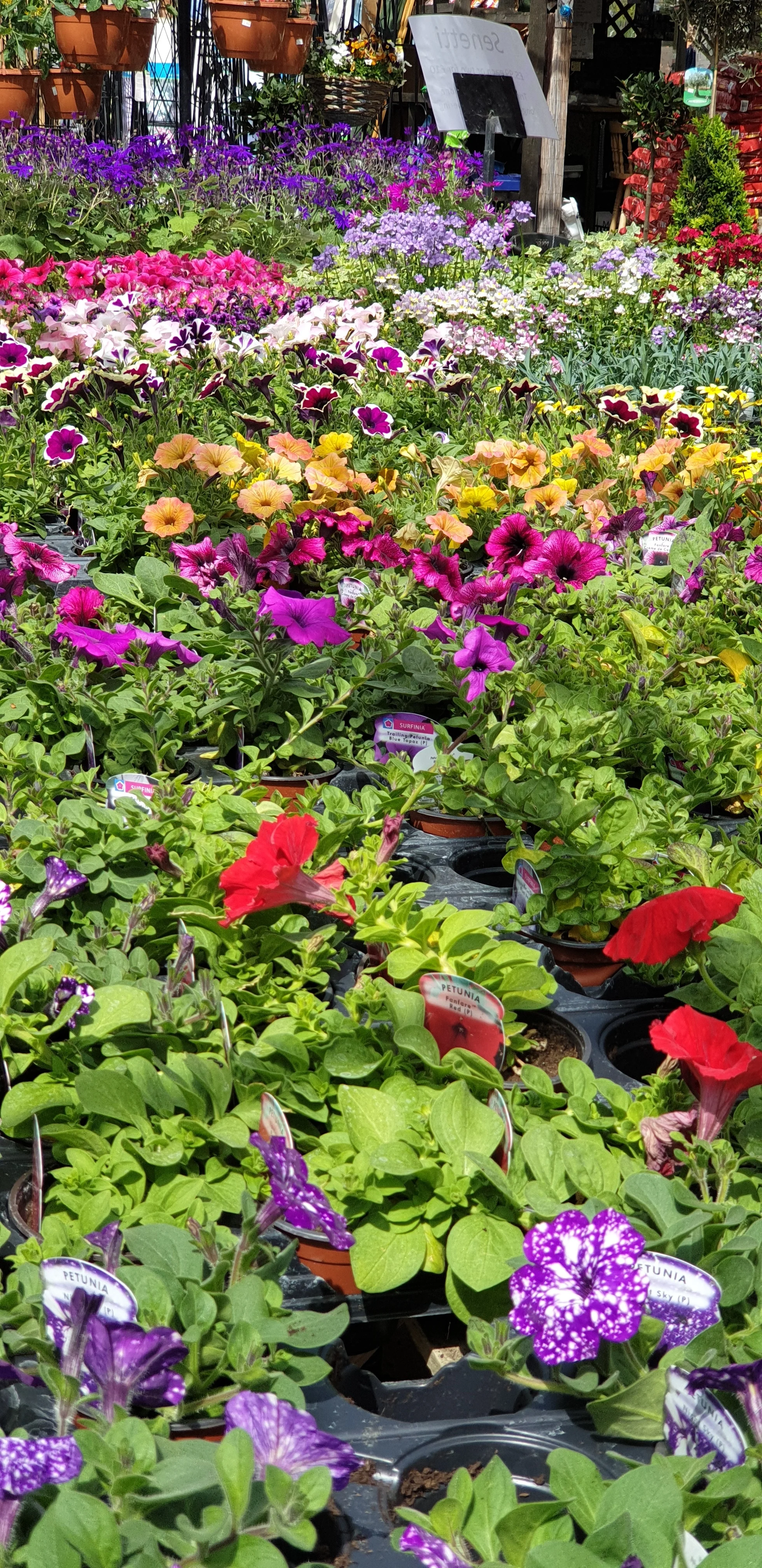 20190427_120809.jpg