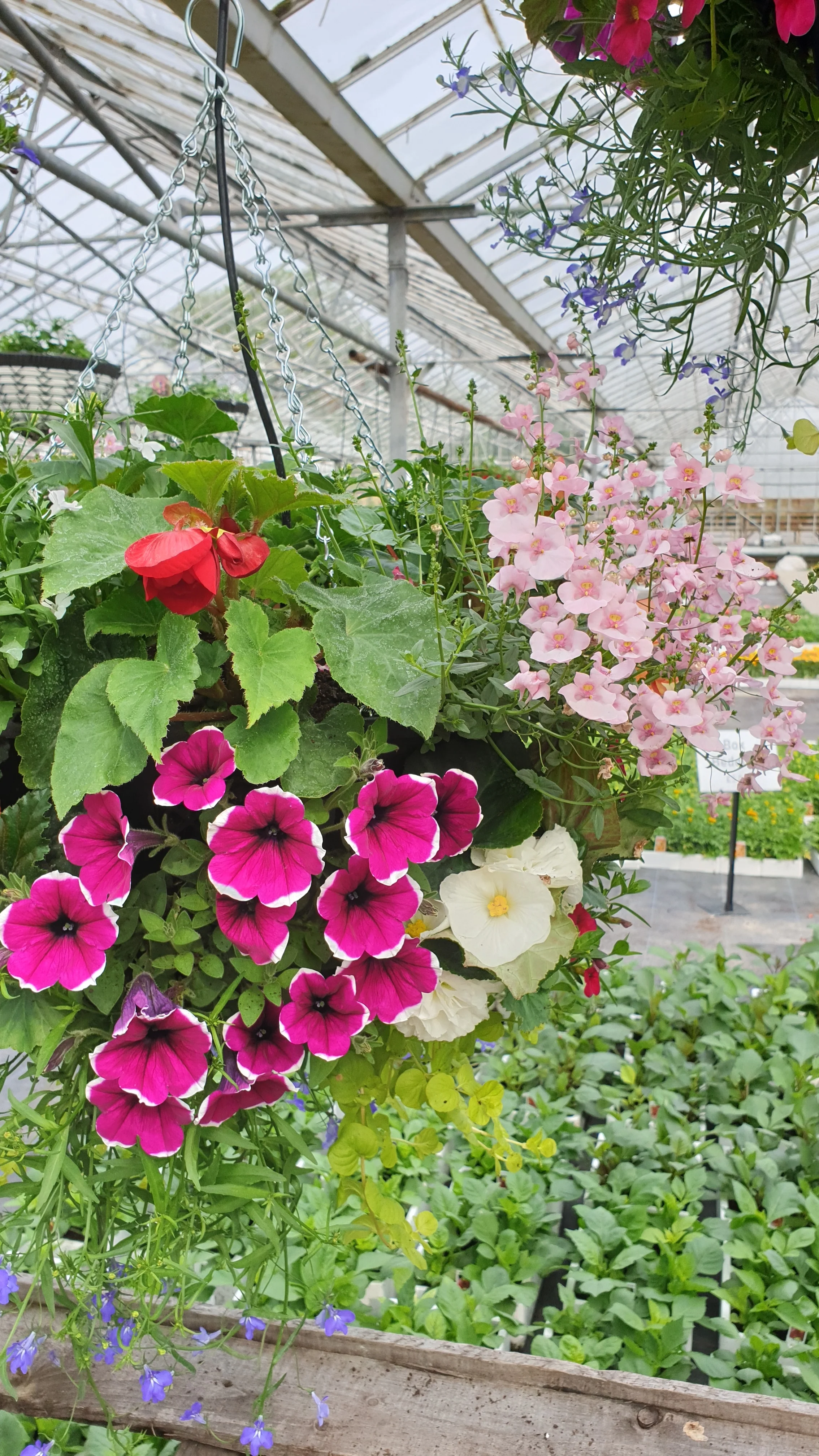 20190519_091647.jpg
