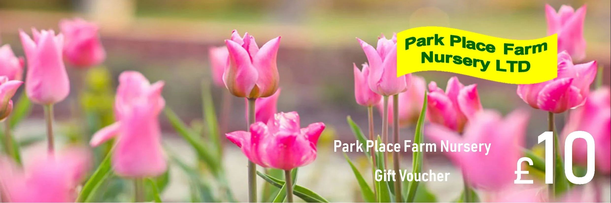 Gift Vouchers — Park Place Farm Nursery