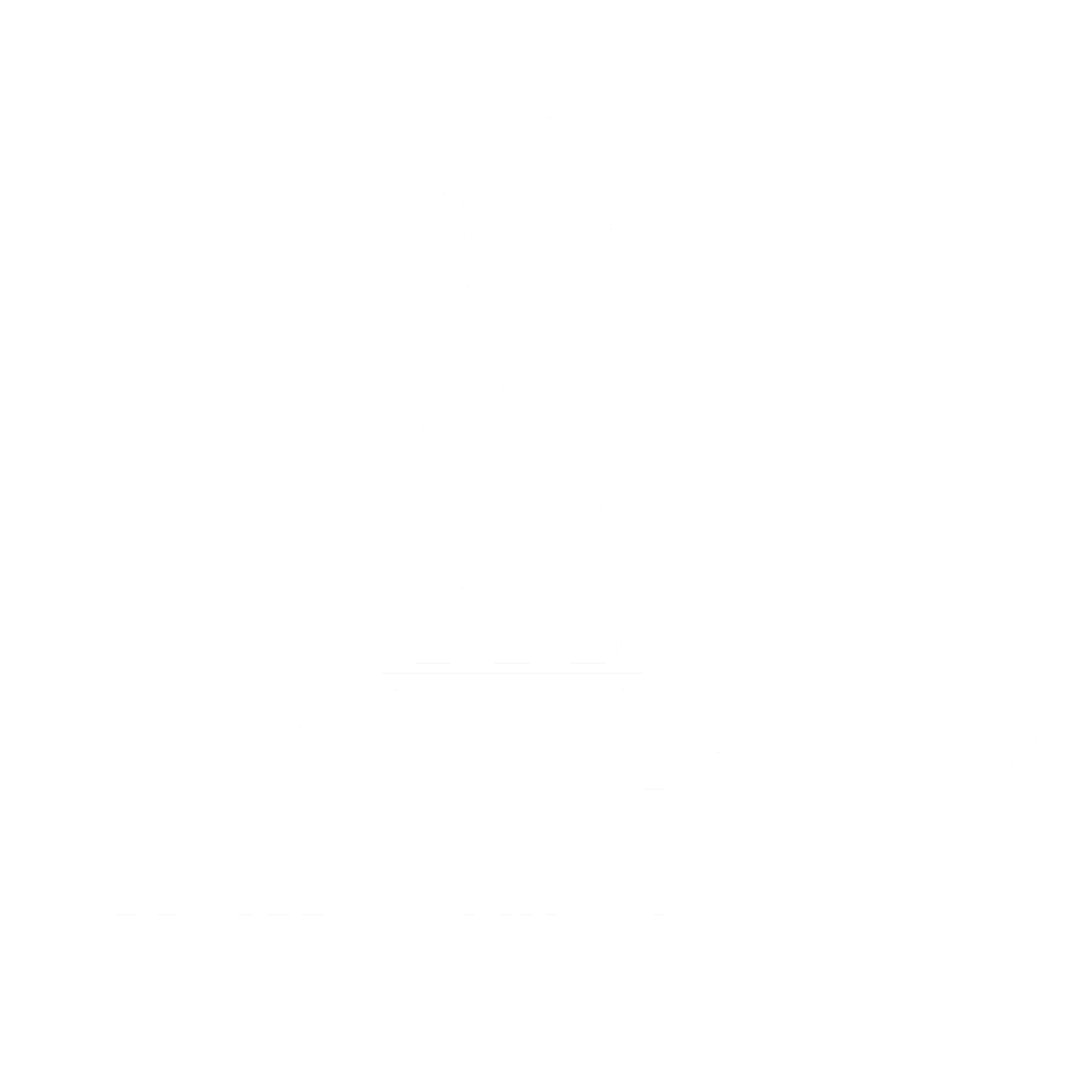 the-ritz-carlton-1-logo-black-and-white.png