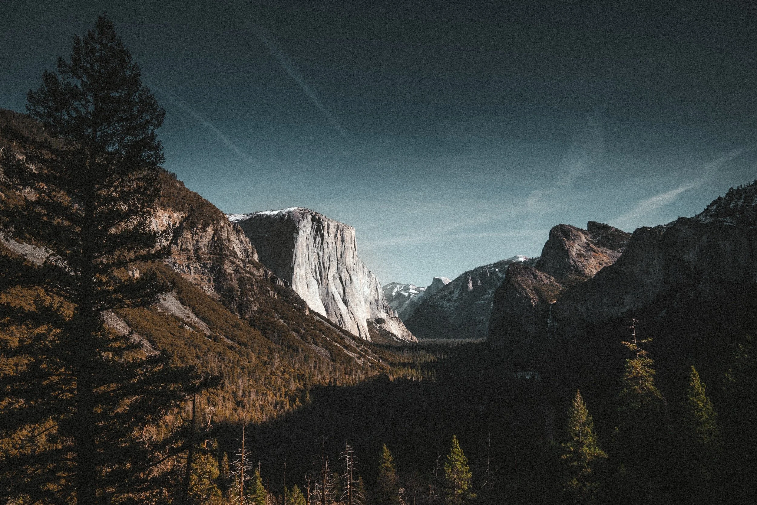 Coming To Your Senses